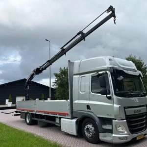 foto 4x2 Platform DAF + Atlas Crane 19t